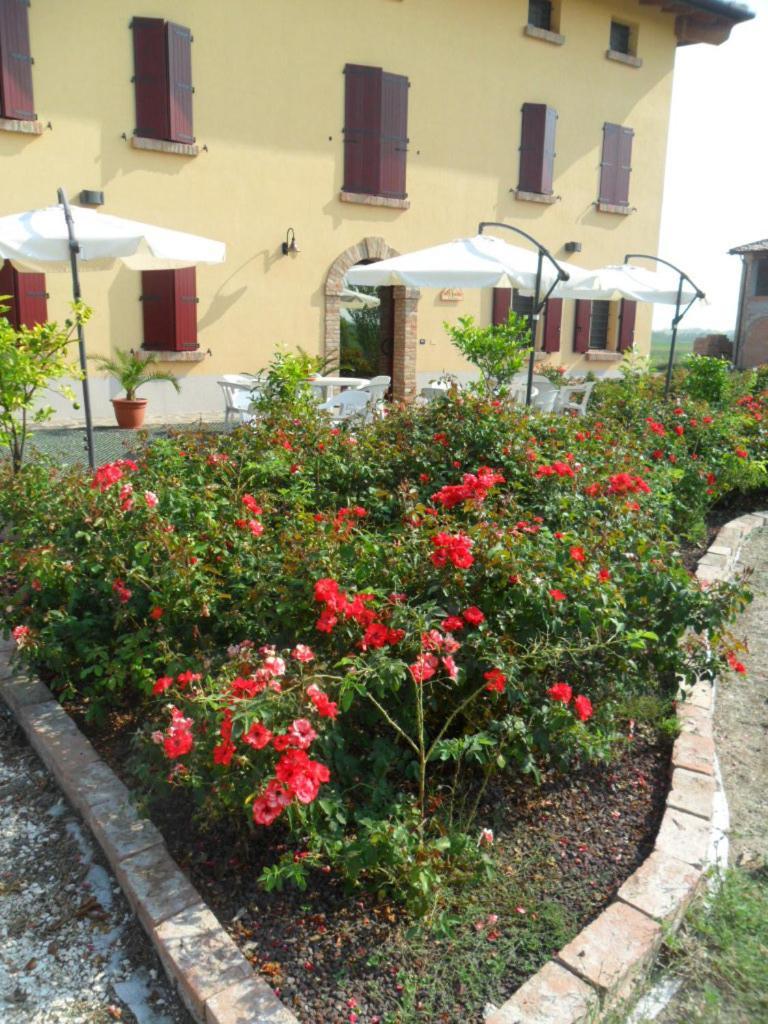 Agriturismo Al Navile Malalbergo Extérieur photo